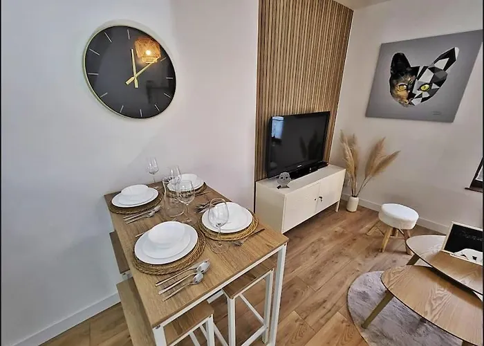 Le Berbiz Centre Apartment *